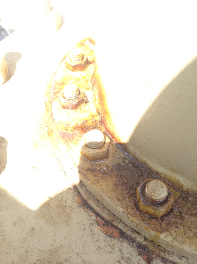 Bolt protrusion not sealed.